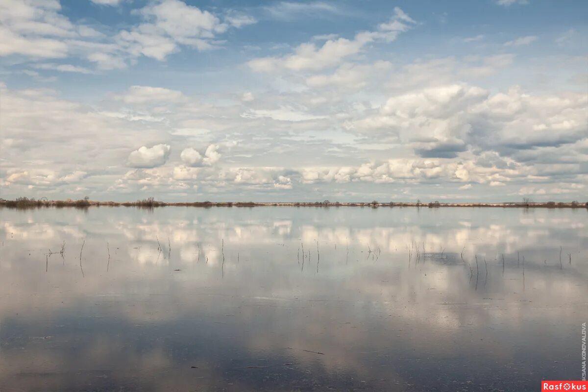 Вода луговая пермь. Рязанское море. Рязань весной. Отражение моря в глазах.