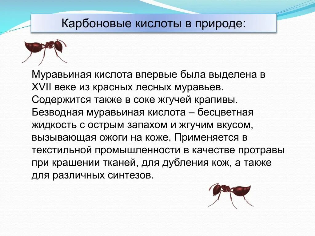 Муравьи и муравьиная кислота. Муравьиная кислота в природе. Карбоновые кислоты в природе. Муравьиная карбоновая кислота. Несмотря на муравьиную склонность объединять свои