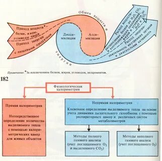 Обмен стороны