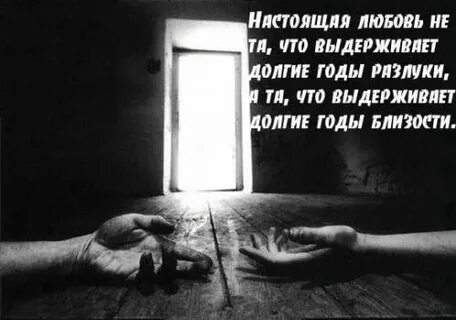 Выдержать год