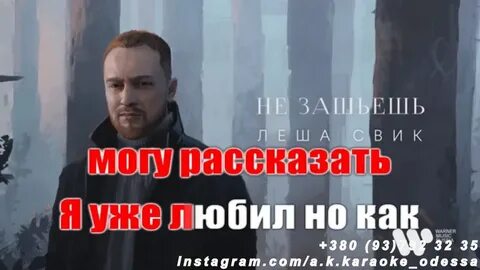 Свик стреляй
