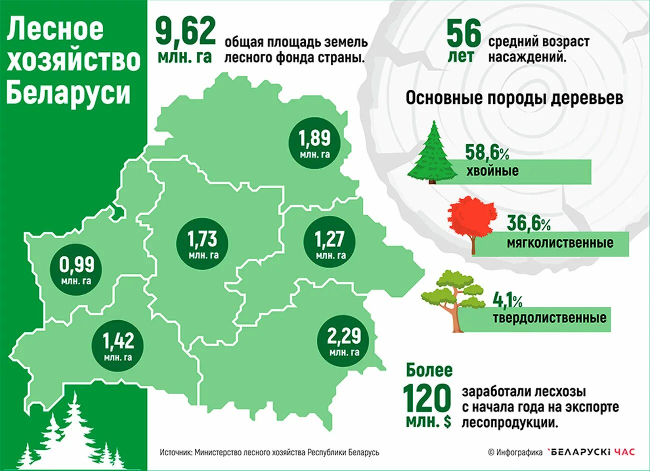 Сколько лет республике беларусь. Лесная и деревообрабатывающая промышленность РБ. Отрасли промышленности Белоруссии. Лесное хозяйство Беларуси. Карта лесов Белоруссии.