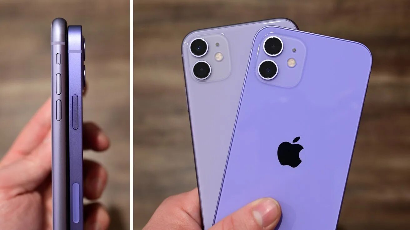 Владелец 11 айфона. Iphone 11 Purple. Iphone 11 Pro Max Purple. Iphone 11 Colors. Iphone 11 и iphone 12 Purple.