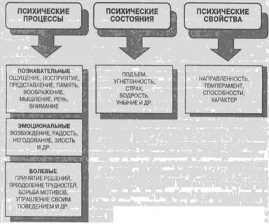 Динамика психических процессов