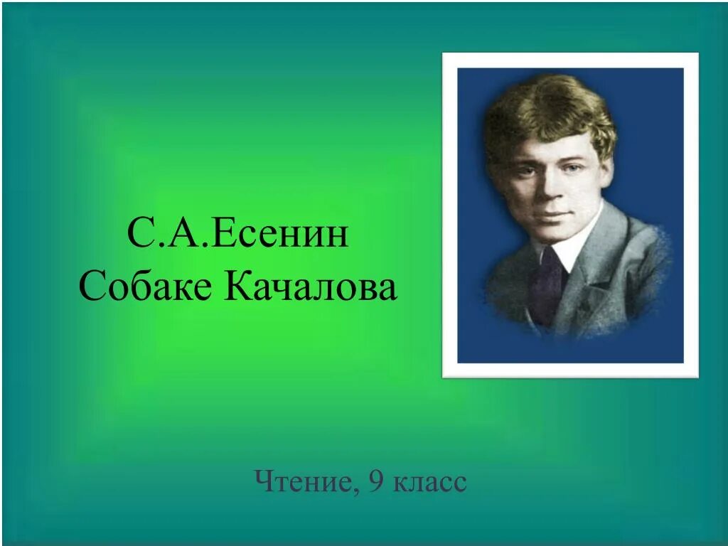 Анализ стихотворения есенина собака. Есенин Джим. Качалов и Есенин. Собаке Качалова Есенин. Есенин про собаку.