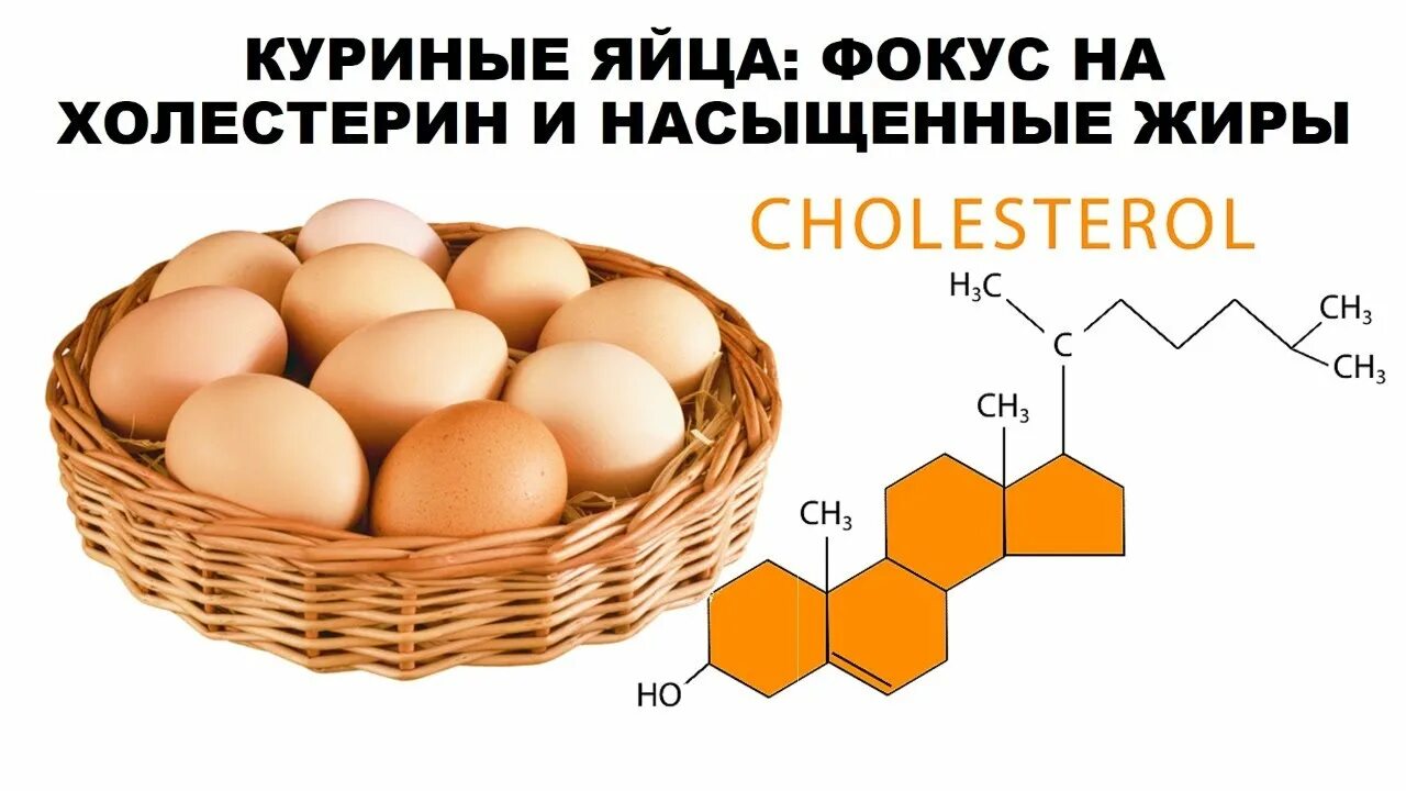 Сколько холестерина в яйце. Яйцо куриное. Холестерин в яйце курином. Жиры в яйцах. Слоганы к яйцу куриному.