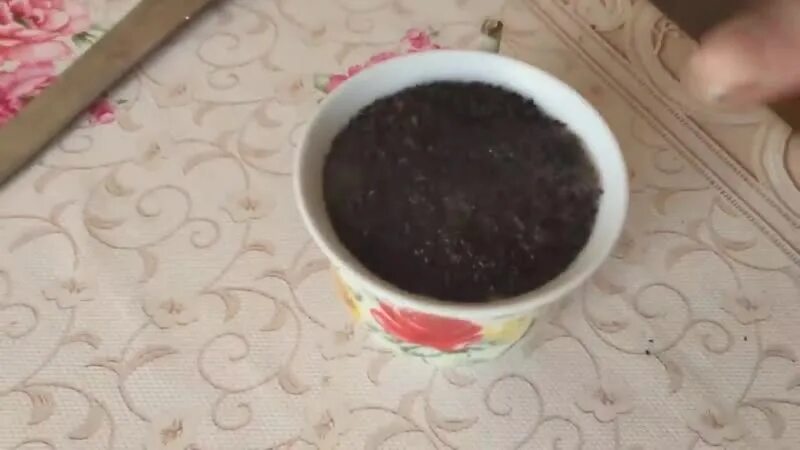 Чифир яд. Чай чифирь. Чифир таёжный. Чифирь. Как заварить чифир.