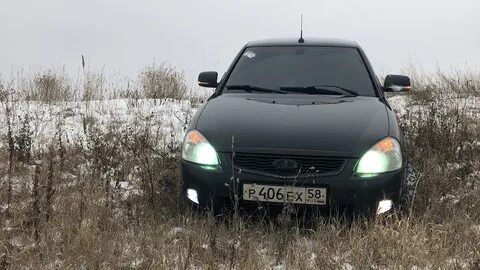Отстрелы приора