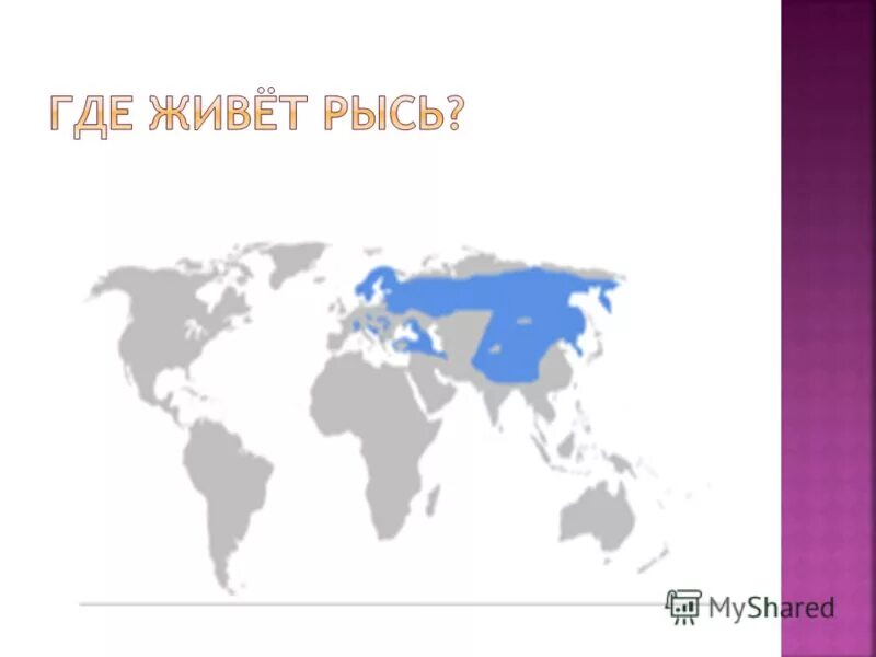 Область где я живу. Рысь обитание на карте. Карта обитания рыси в России. Рысь места обитания на карте.