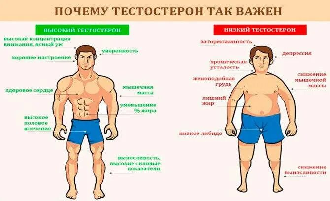 Низкие гормоны у мужчин. Продукты повышающие тестостерон. Еда повышающая тестостерон у мужчин. Продукты повышающие тестостерон у мужчин. Пища которая повышает тестостерон у мужчин.