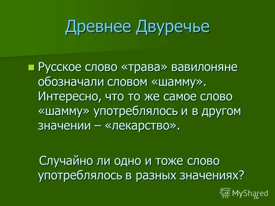 Слово трава. Русское слово травник. Текст о растении. Текст в траве.