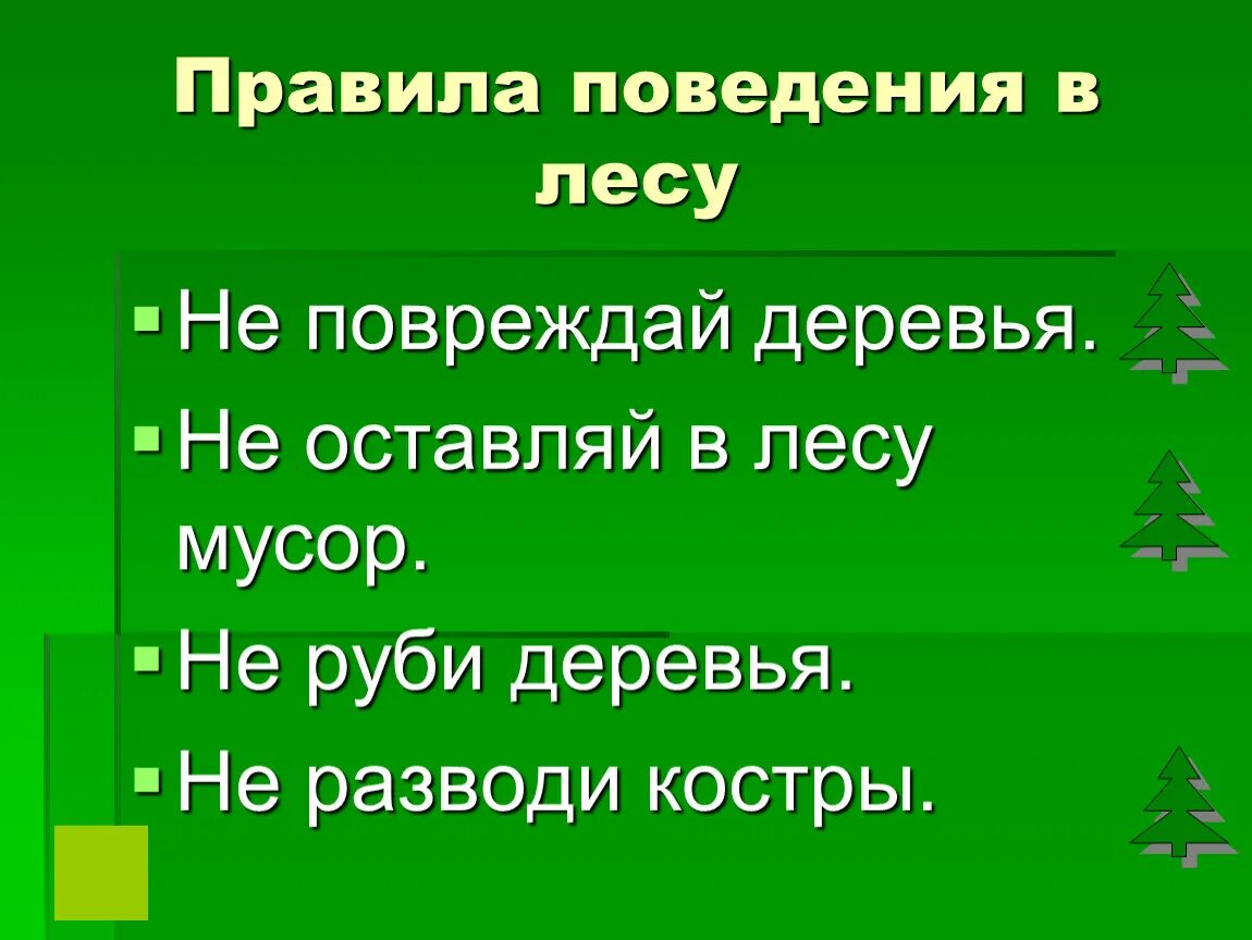 Нельзя рубить деревья. Не рубите деревья. Правила поведения в лесу. Не рубите деревья табличка. ПРАВИЛАПОВЕДЕНИЕ В лесу.