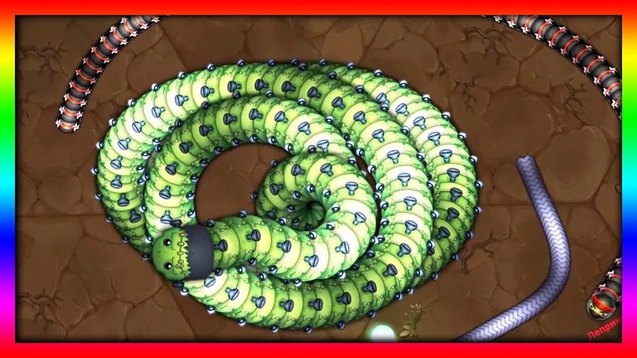 Игра big snake. Большой змей игра AXYSNAKE. Большие и маленькие змейки. Огромная змея в игре little big Snake. Маленькая змейка из игры.