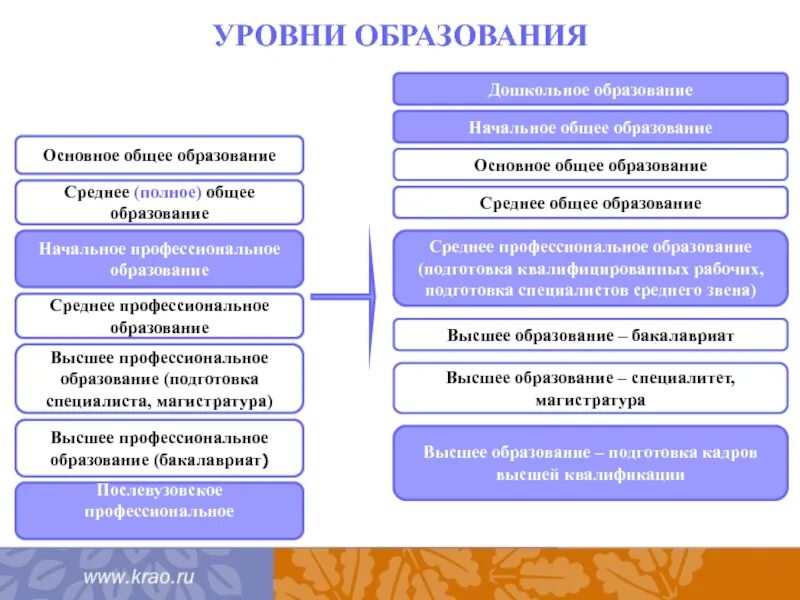 Начальное среднее образование. Уровни образования общество 9 класс. Уровни образования в РФ по порядку послевузовское.
