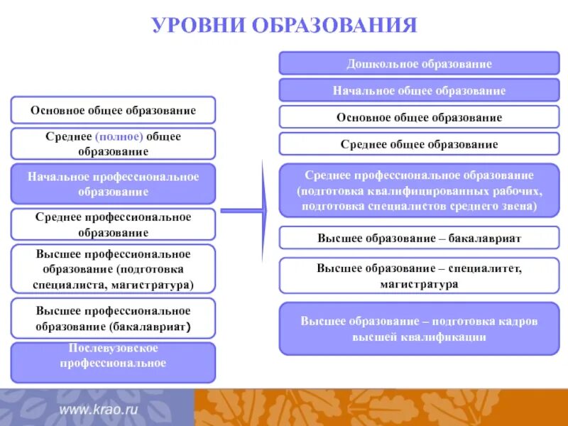 11 класс это основное общее образование. Уровни образования в РФ схема. Среднее общее и основное общее образование. Среднее основное общее образование это. 11 Класс это среднее общее образование.