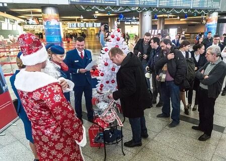 Новости домодедово