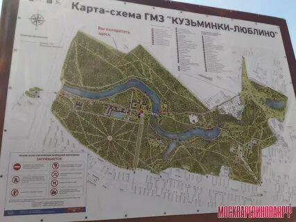 Как доехать до парка кузьминки