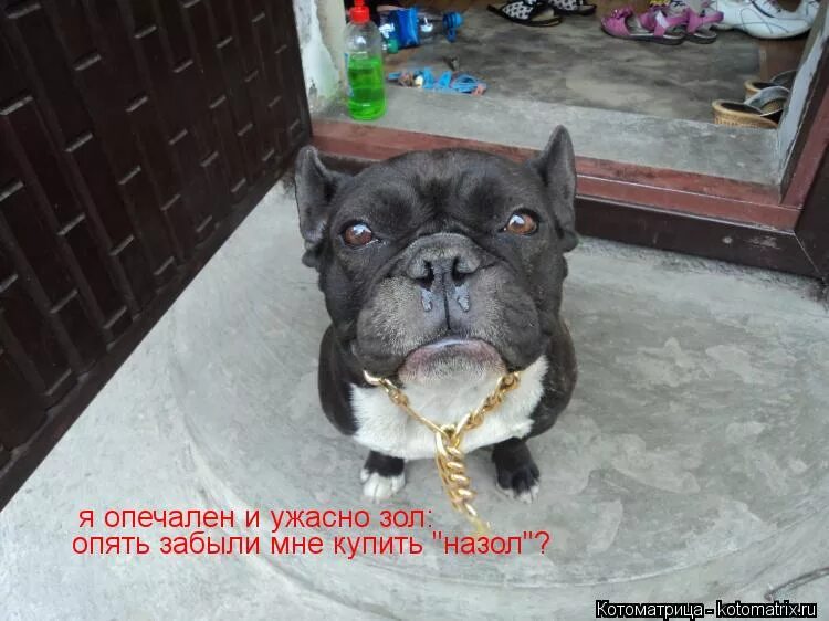 если тебя не ценят. леонид аркадьевич мем. афоризмы про вдохновение прикольные. никто не ценит. даже не знаю с чего начать опечален.