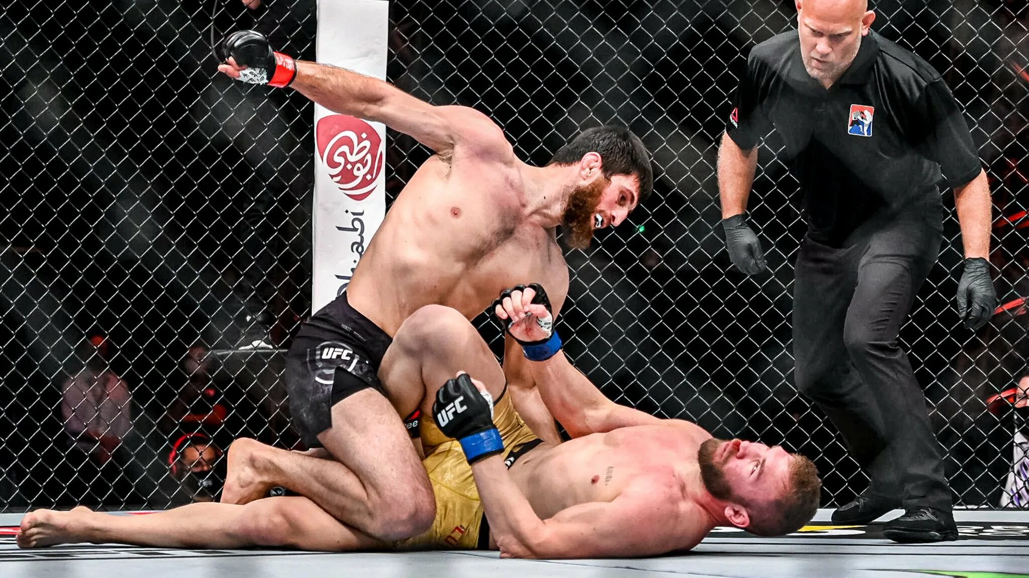 Нокауты в ufc. Магомед Анкалаев UFC. UFC 254 Куцелаба Анкалаев.