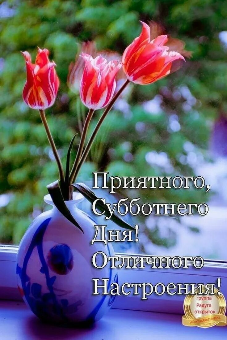 Весенней субботы хорошего настроения. Доброе Весеннее утро цитаты. Душевного дня прекрасного настроения. Благословенного дня прекрасного настроения. Хорошего настроения и удачного дня цветы.