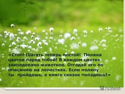 Песня на поляне ты меня нашел