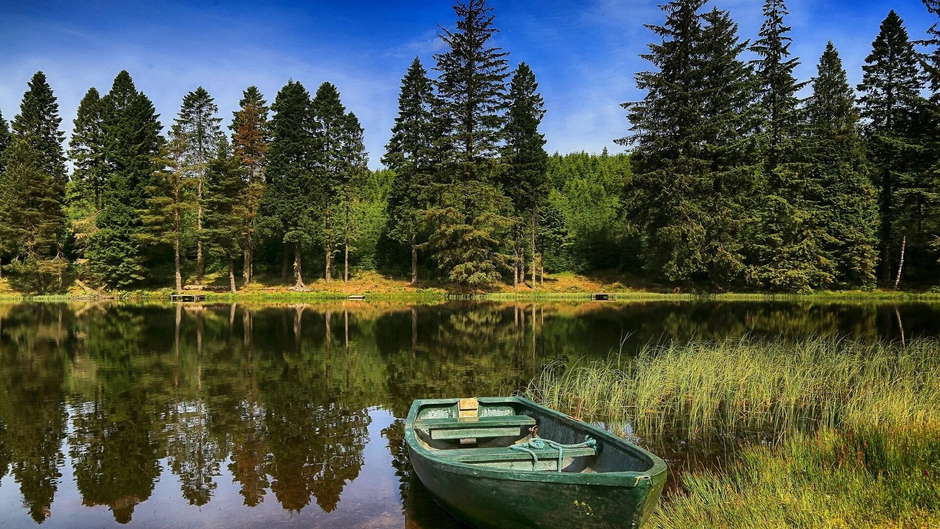 Летние озера рыбалка. Озеро в лесу. Природа река. Лодка на реке. Природа лес озеро.