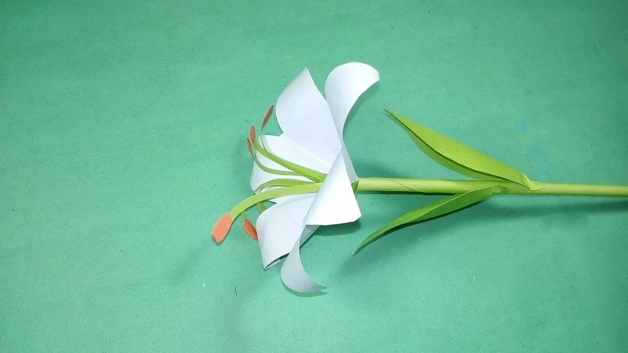 Цветок крокуса из белой бумаги оригами. Цветок крокуса из белой бумаги оригами. Цветы из бумаги лилии. Оригами. Крокусы оригами из бумаги в детском саду.