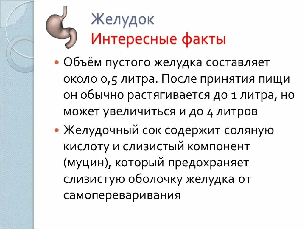 У кого зубы в желудке загадка. Интересные факты о желудке. интересные факты о желудке человека. интересные факты о желудке человека для детей. интересные факты о пищеварительной системе.