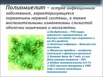 Возбудителем полиомиелита является