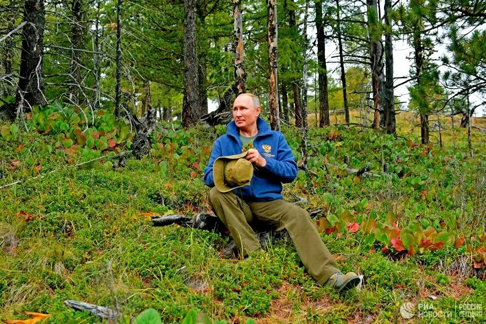 Бывали ли с вами в лесу