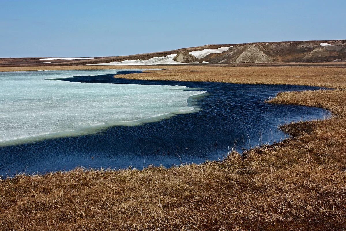 Воды тундры в россии. Термокарстовые озера Якутии. Термокарстовые озер Ямала. Озера в тундре. Воды тундры.