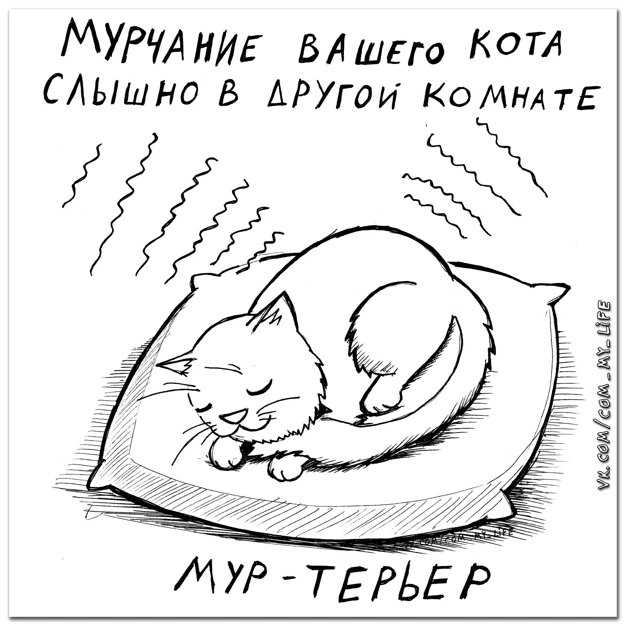 Мурчание котика. Коты рисунки. Кот мурчит. Мурчание котов. Кот мурчит иллюстрация.