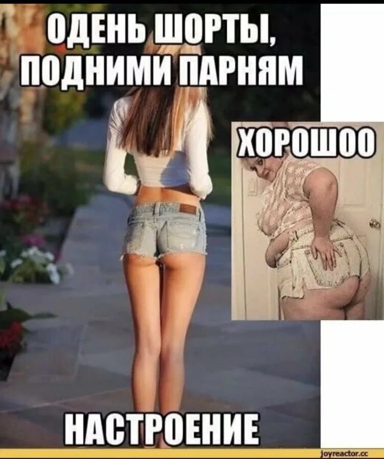 Тату юмор. Приколы ипро отношения. Шутки юмор приколы в картинках с надписями. Смешные пошлости. Приколы для девушек для поднятия настроения.