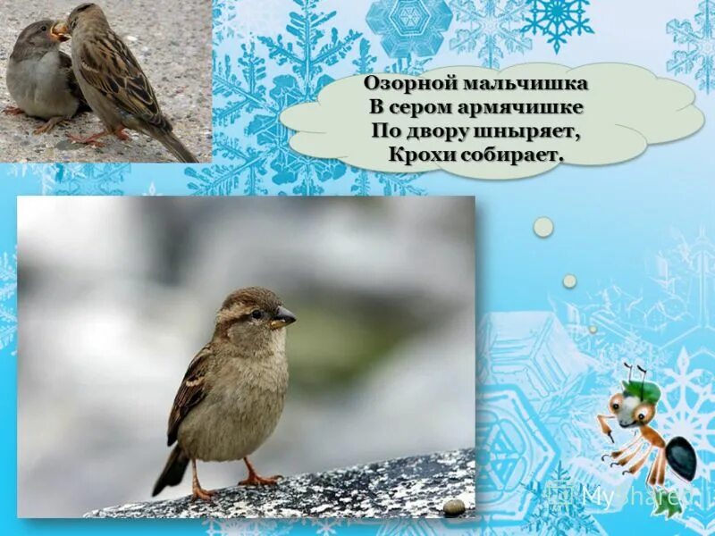 Мальчишка в сером армячишке. Озорной мальчишка в сером армячишке по дворам шныряет крохи собирает. армячишке. в сером армячишке по дворам.