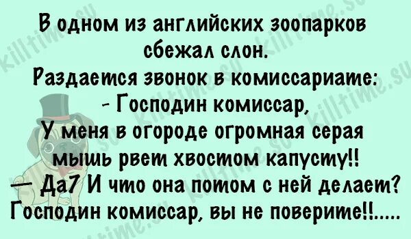 Анекдоты зоопарк. Анекдот из зоопарка сбежал. С зоопарка сбежал слон анекдот. Из зоопарка сбежал слон. Еврейский анекдот про сбежавшего из зоопарка.