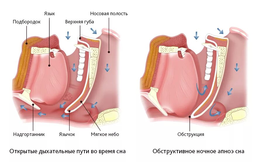 Какое дыхание во сне