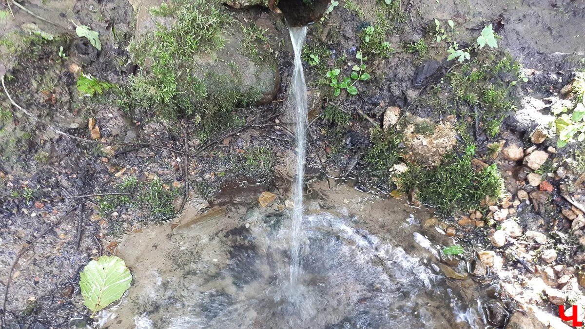 Откуда вода в родниках. Владимирский Родник. Воду с родника набирали. Набрать родниковой воды. Грязная Родниковая вода.