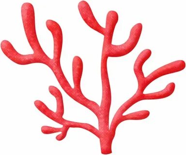 Коралловые дети