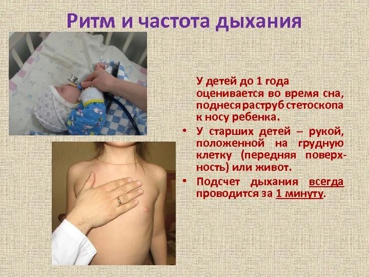 Подсчет чдд у детей. Определение чдд у детей. частота дыхания у детей методика. подсчет чдд детям грудного возраста. измернри чистоты дыхания у детей.