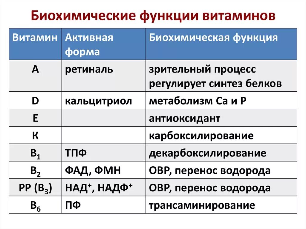 Активная форма в 5. Биохимическая функция витаминов жирорастворимые витамины. Биохимические функции витамина в1. Общие функции жирорастворимых витаминов биохимия. Биохимические функции витамина а.