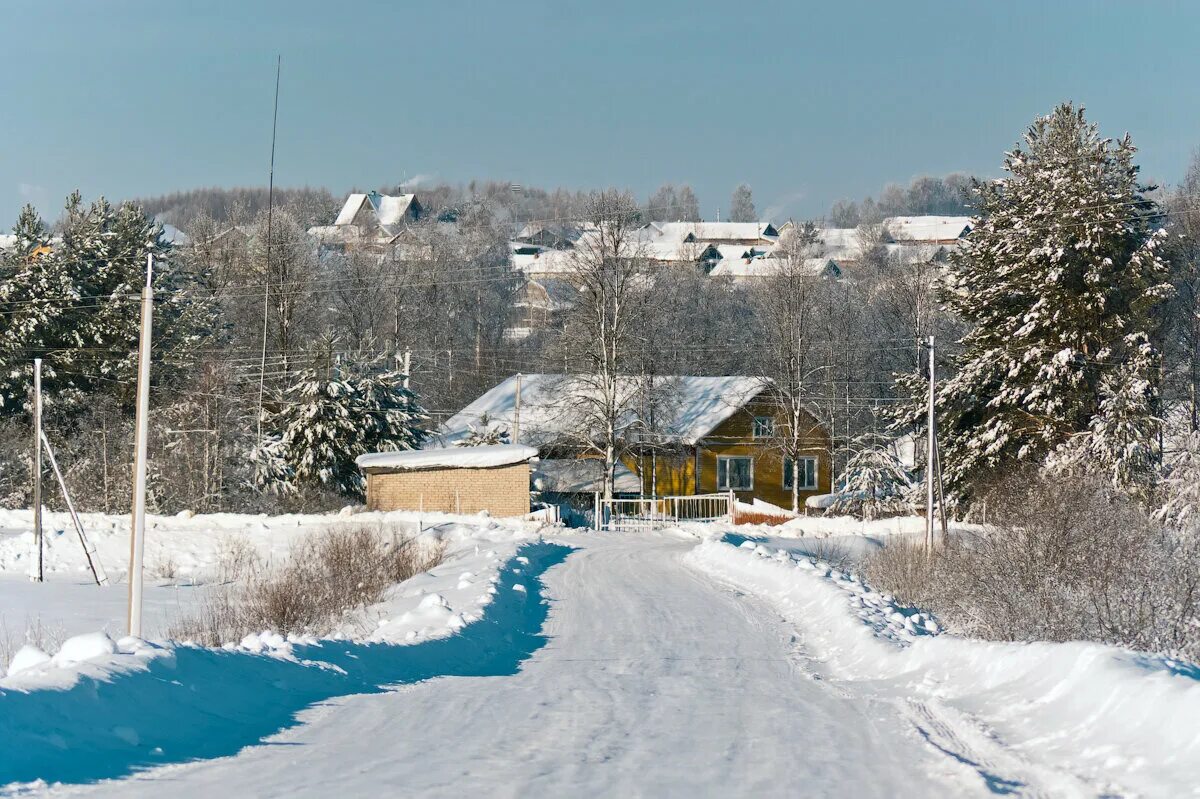 Павино Костромская область. Павино село Костромская. Деревня Павино Костромская область. Кострома Павино. Погода на неделю в павино костромской области