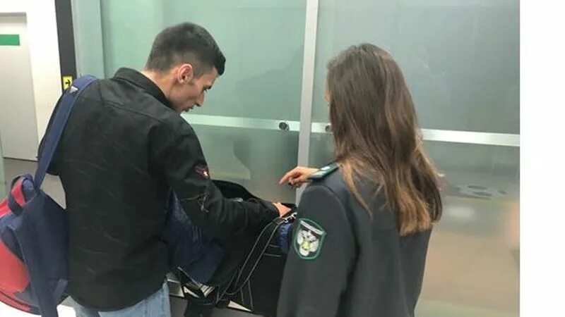 Фининспектор обыскивать