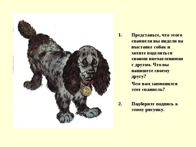 Мой питомец - презентация онлайн