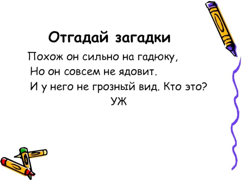 Загадка про похож. Загадка на что похож. Задания похожие на загадок. Загадки похожие на по. Похож он сильно на гадюку.