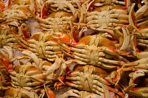 Oh my crab пермь