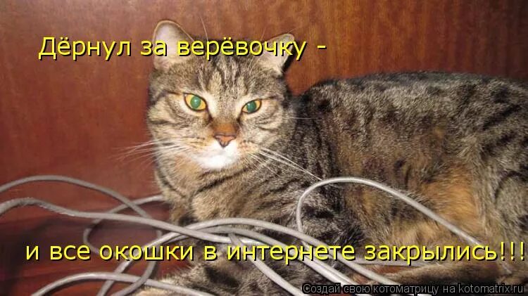 Лучшие цитаты. Если потянуло вас на блуд. Лучше цитаты. Точно потянуть. Pool and gym.