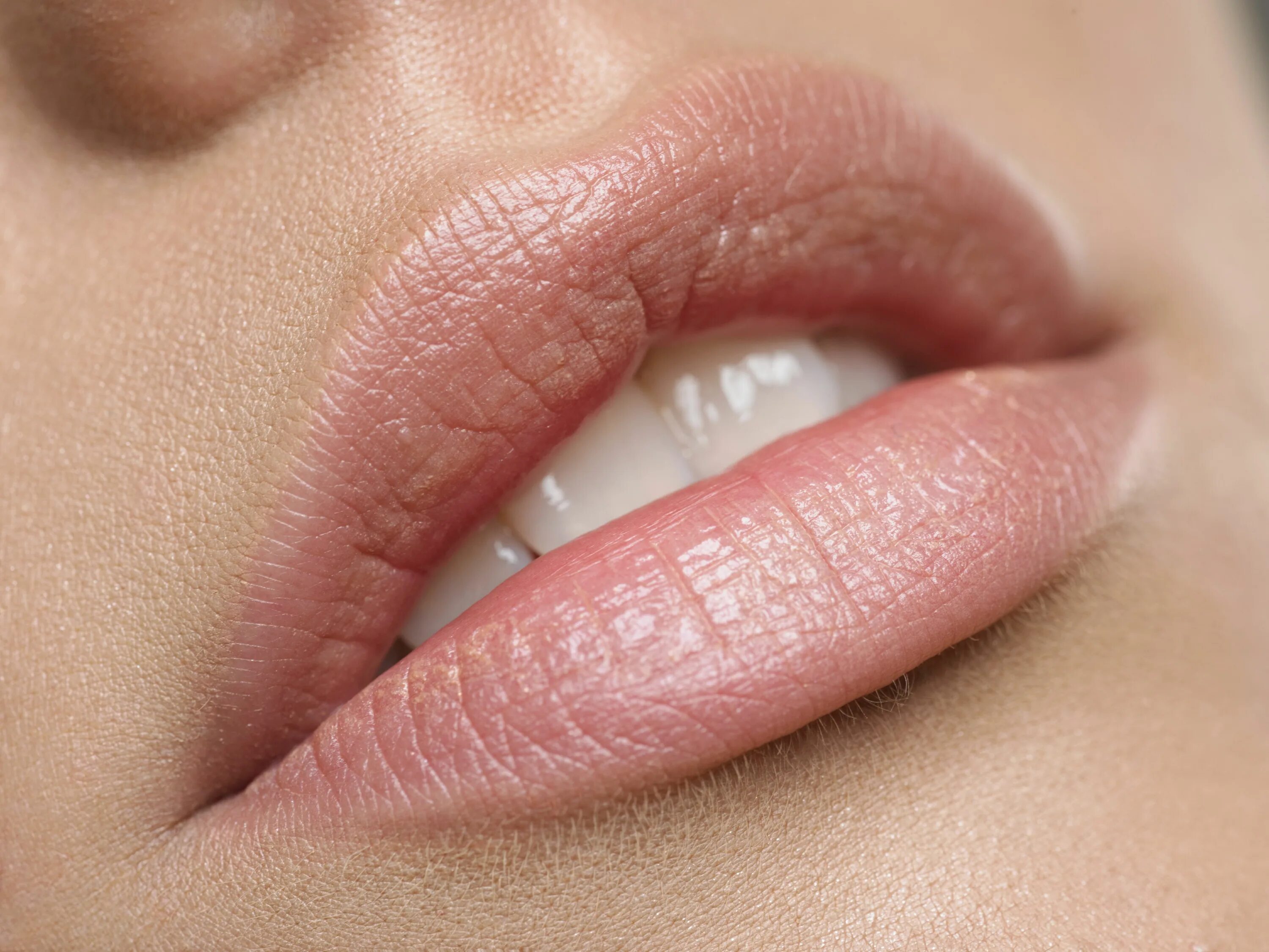 Close lips. Татуаж губ светлый кайал. Красивые губы. Красивые женские губы. Красивые губки.