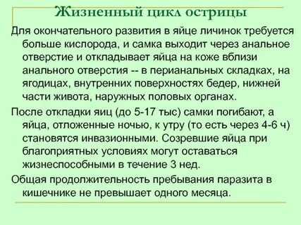 Продолжительность жизни острицы