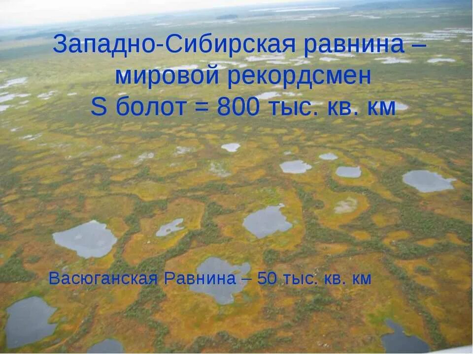 Территории болот в россии. Васюганские болота, Западная Сибирь. Большое Васюганское болото на карте России. Карта Сибири Васюганское болото. Васюганские болота на карте Западной Сибири.