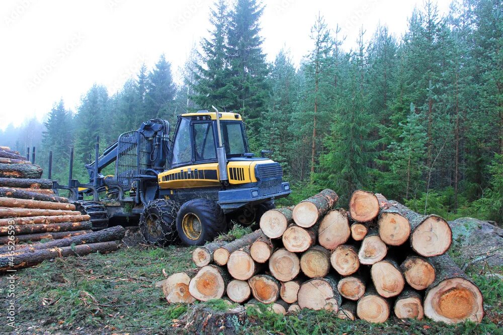 Logging trap